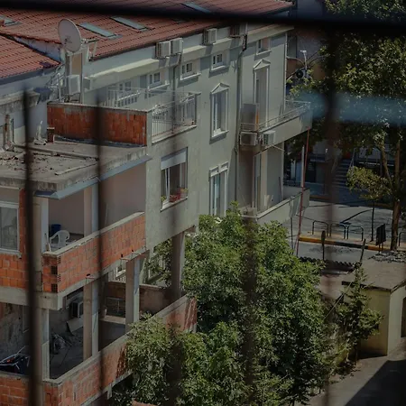 Aldis Tirana